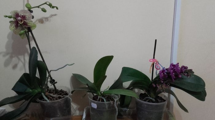 20160316_181959 - 2016