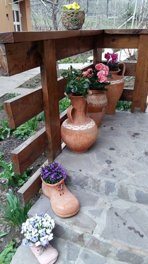 20160309_154440 - 1Gradina mea-2016