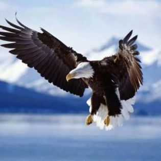 675478_ac6192408485ab4fe595678a7631ea5f_mdsq
