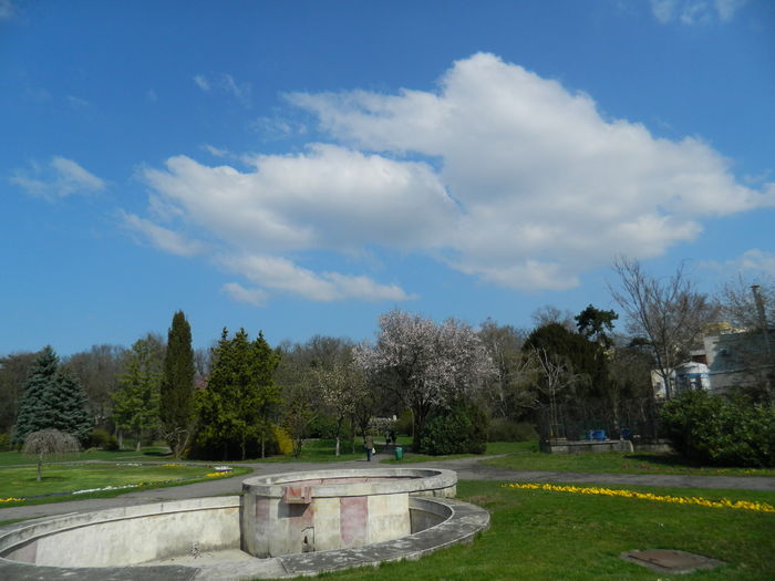 DSCN1020 - 2016 PARCUL BOTANIC TIMISOARA