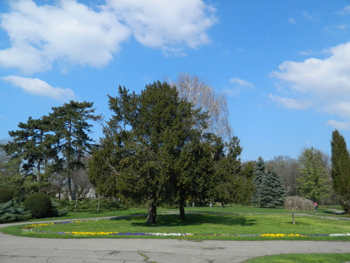 DSCN1021 - 2016 PARCUL BOTANIC TIMISOARA