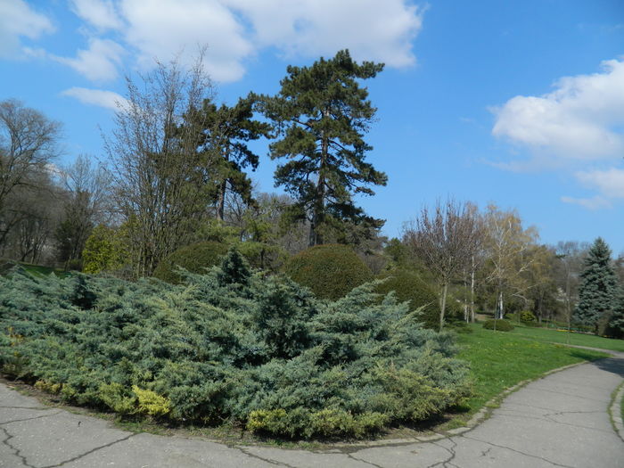 DSCN1025 - 2016 PARCUL BOTANIC TIMISOARA