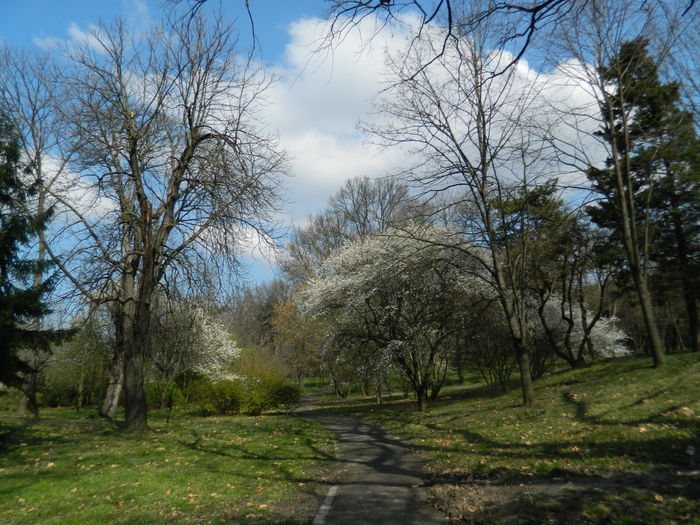 DSCN1051 - 2016 PARCUL BOTANIC TIMISOARA