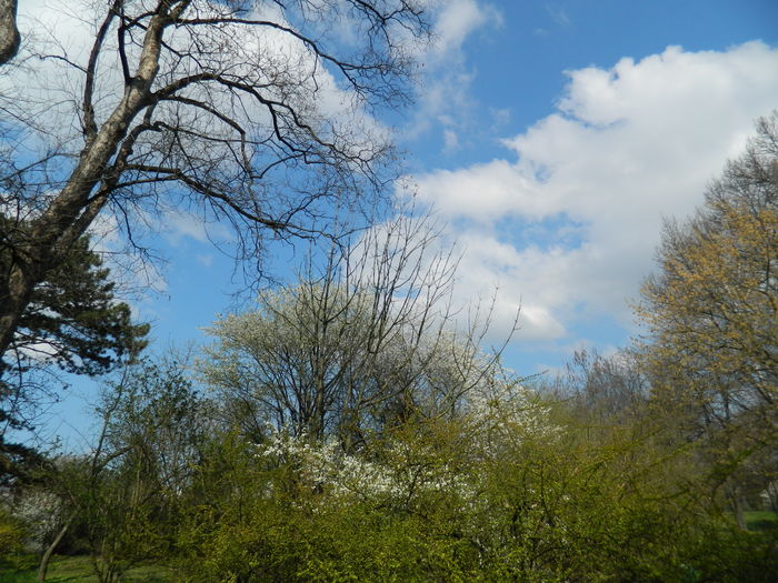 DSCN1065 - 2016 PARCUL BOTANIC TIMISOARA