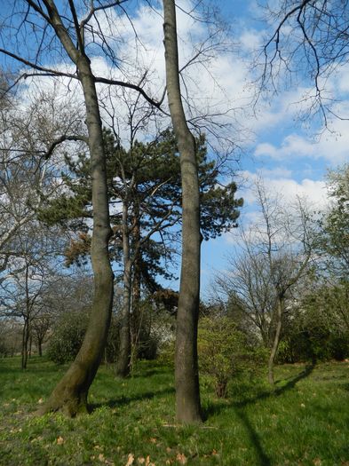 DSCN1069 - 2016 PARCUL BOTANIC TIMISOARA