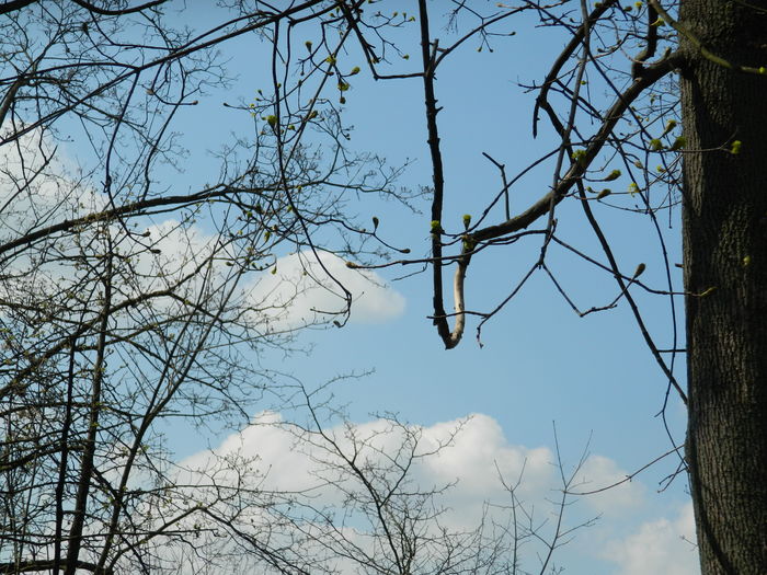 DSCN1070 - 2016 PARCUL BOTANIC TIMISOARA