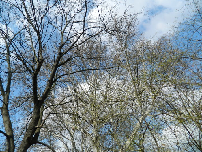 DSCN1073 - 2016 PARCUL BOTANIC TIMISOARA