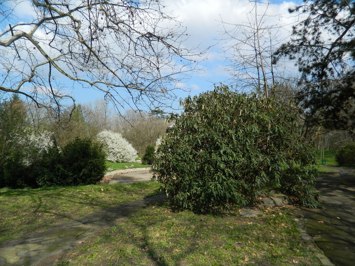 DSCN1074 - 2016 PARCUL BOTANIC TIMISOARA