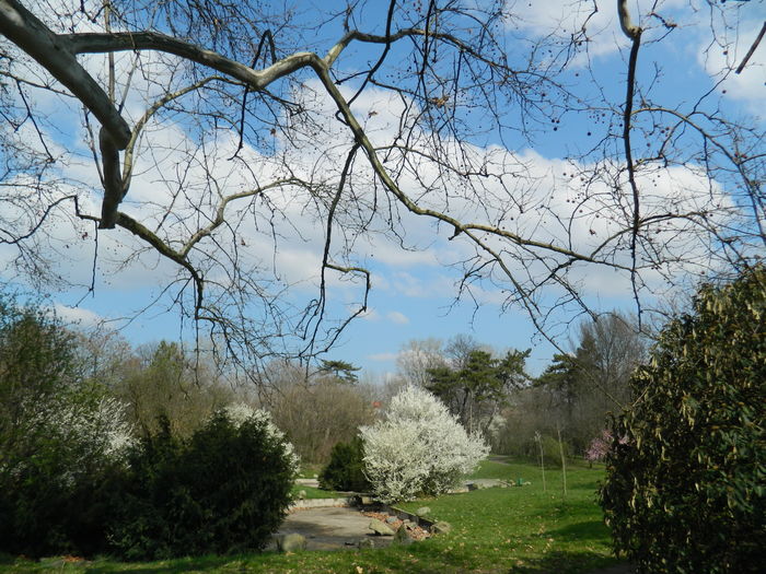 DSCN1075 - 2016 PARCUL BOTANIC TIMISOARA
