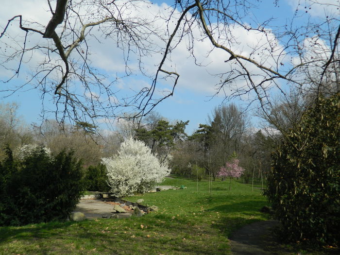 DSCN1076 - 2016 PARCUL BOTANIC TIMISOARA