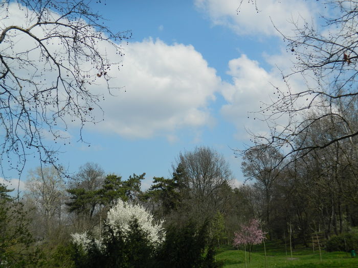 DSCN1077 - 2016 PARCUL BOTANIC TIMISOARA