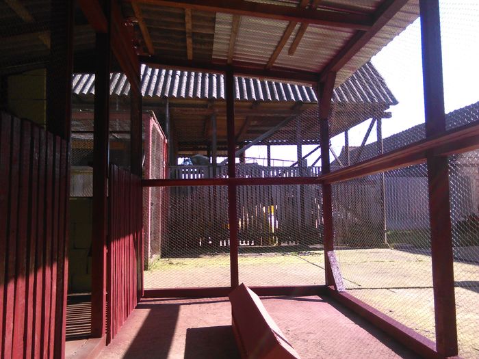 IMG_20160317_144400 - voliera renovata