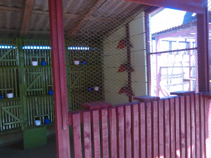 IMG_20160317_144429 - voliera renovata