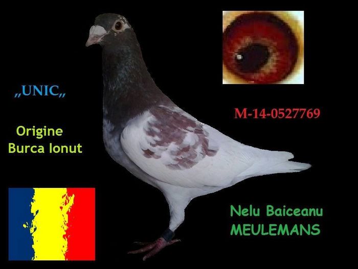  - MATCA 2016 MEULEMANS