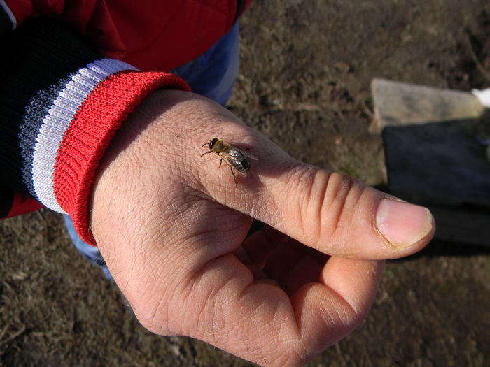 DSCN8455; albina in vizita
