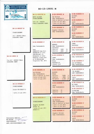 pedigree Gaby - Pereche 2016