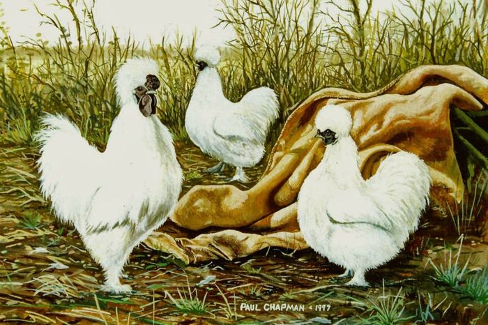 11873494_1593089920956901_4523895104426347157_n