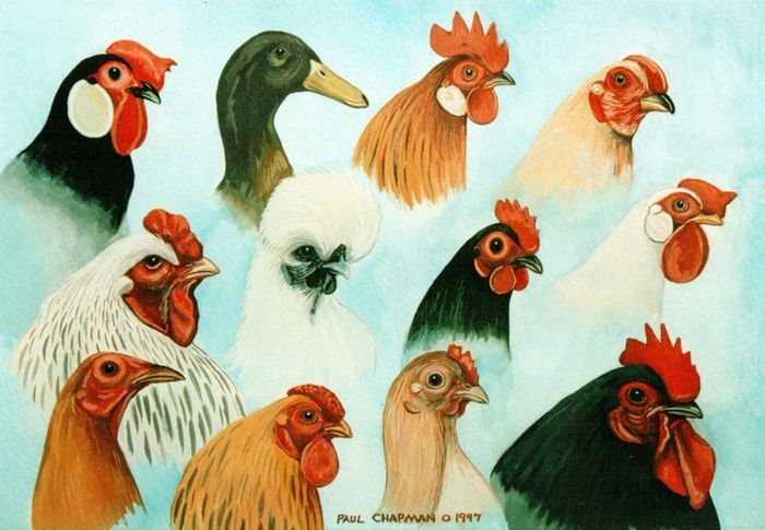 12743584_1643513872581172_6732926699042894982_n