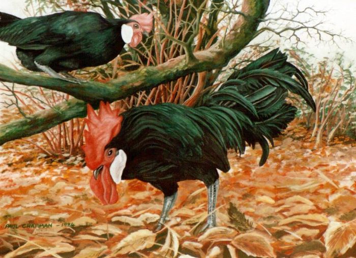 12744180_1644445679154658_8440807521257371758_n