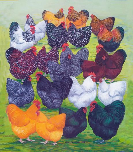 12744277_1643514732581086_8302819582693023407_n