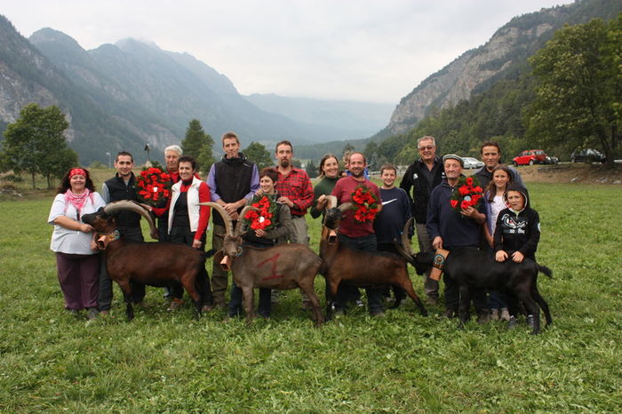 Premiantii cu caprele - Rase de oi si capre poze deosebite 11