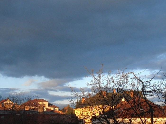 P3080228 - Primavarisme