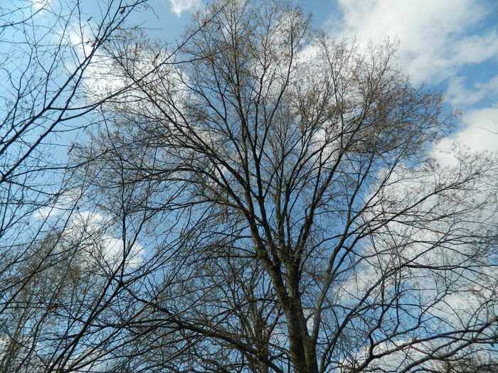 DSCN1081 - 2016 PARCUL BOTANIC TIMISOARA