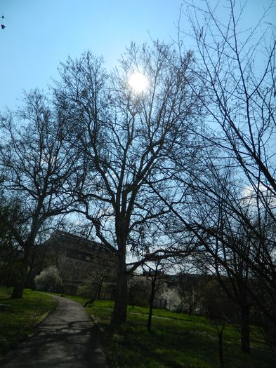 DSCN1082 - 2016 PARCUL BOTANIC TIMISOARA