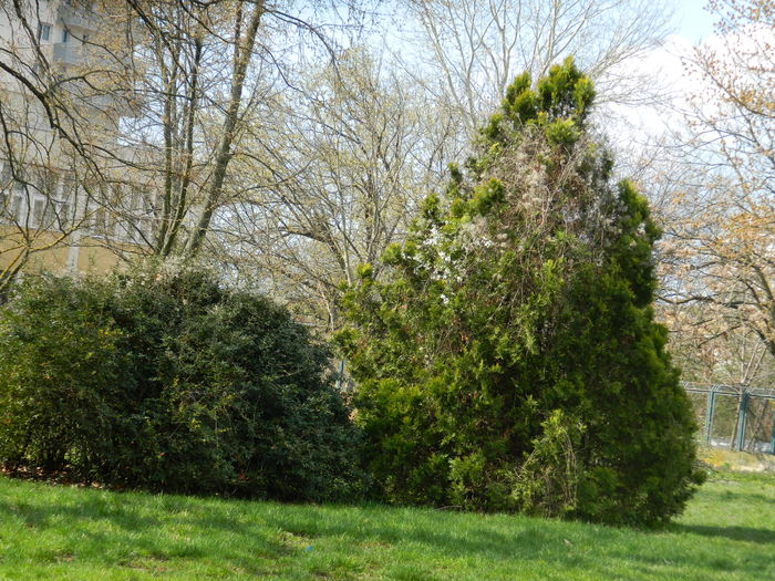 DSCN1085 - 2016 PARCUL BOTANIC TIMISOARA