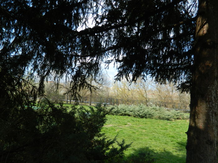 DSCN1089 - 2016 PARCUL BOTANIC TIMISOARA