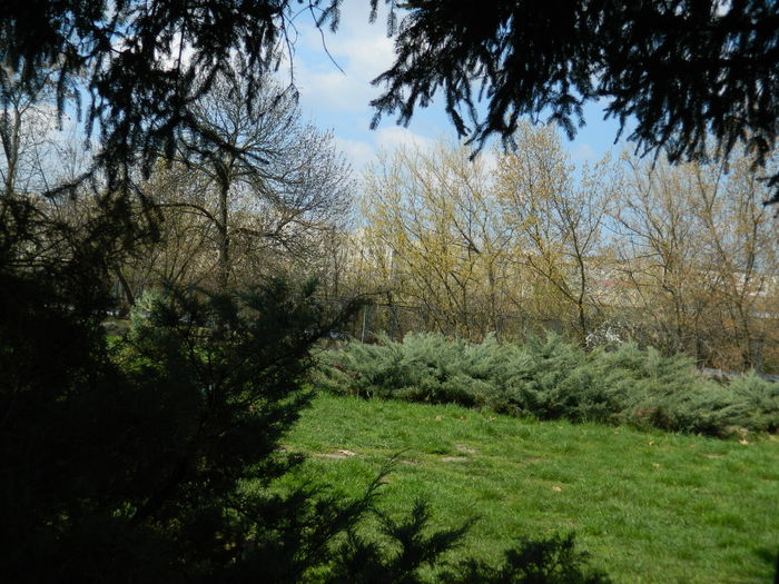 DSCN1092 - 2016 PARCUL BOTANIC TIMISOARA