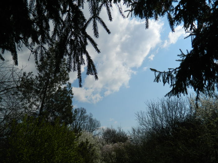 DSCN1096 - 2016 PARCUL BOTANIC TIMISOARA