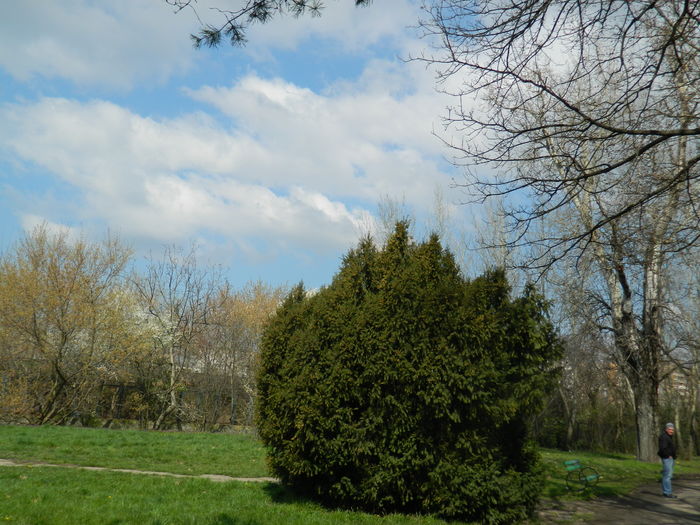DSCN1100 - 2016 PARCUL BOTANIC TIMISOARA