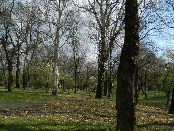 DSCN1115 - 2016 PARCUL BOTANIC TIMISOARA