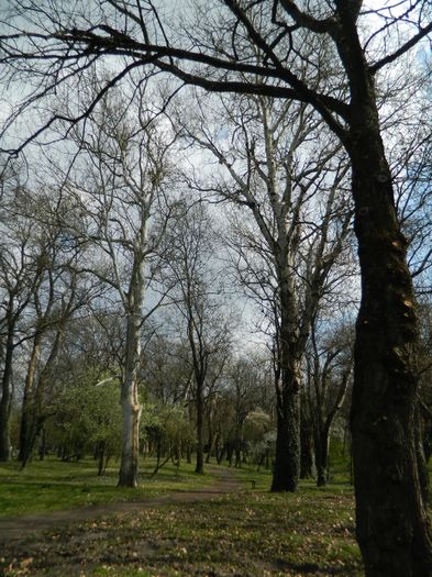 DSCN1116 - 2016 PARCUL BOTANIC TIMISOARA