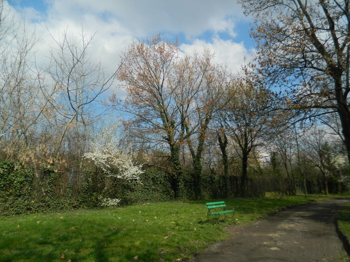 DSCN1117 - 2016 PARCUL BOTANIC TIMISOARA