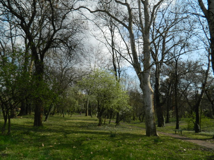 DSCN1118 - 2016 PARCUL BOTANIC TIMISOARA