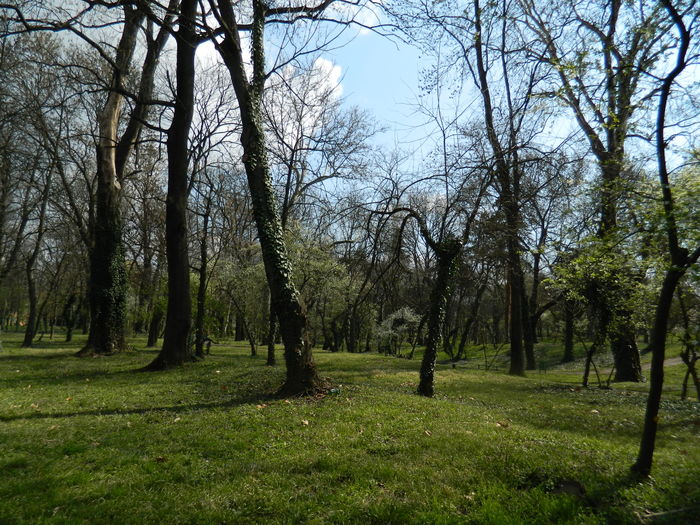 DSCN1119 - 2016 PARCUL BOTANIC TIMISOARA