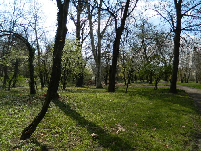 DSCN1120 - 2016 PARCUL BOTANIC TIMISOARA