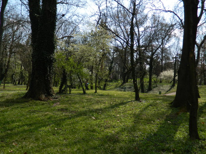 DSCN1121 - 2016 PARCUL BOTANIC TIMISOARA
