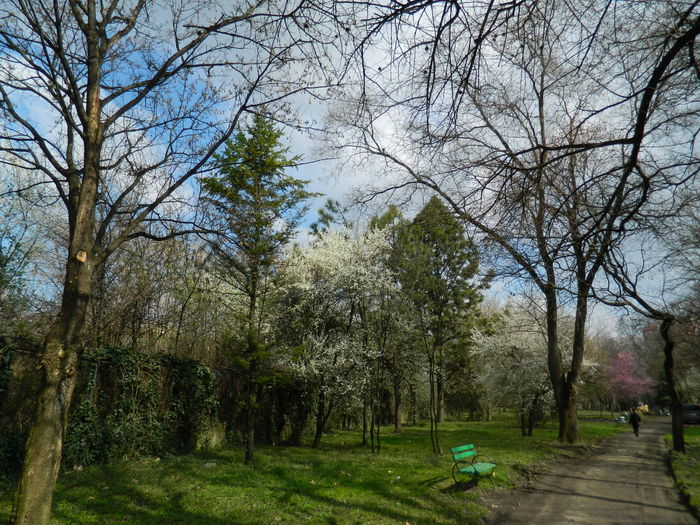 DSCN1122 - 2016 PARCUL BOTANIC TIMISOARA