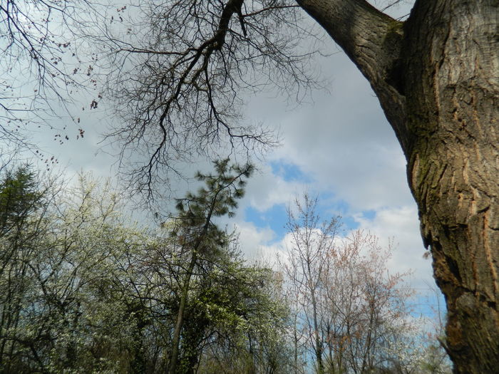 DSCN1128 - 2016 PARCUL BOTANIC TIMISOARA