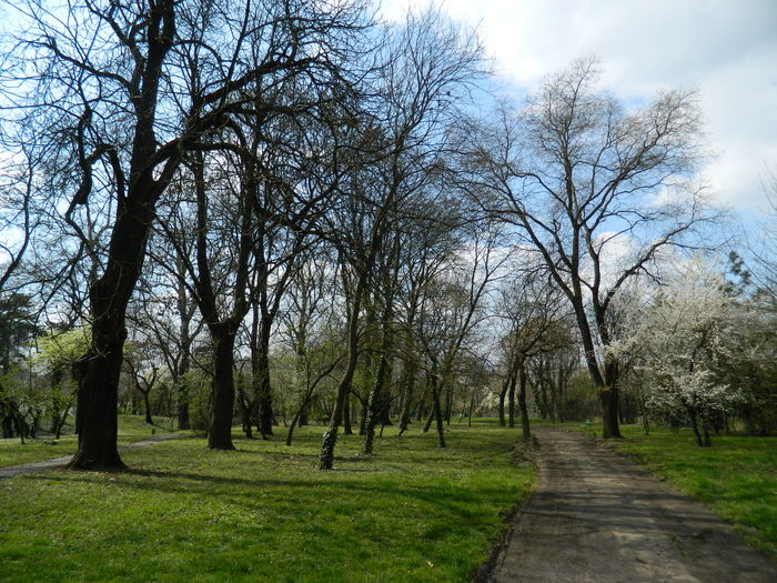 DSCN1130 - 2016 PARCUL BOTANIC TIMISOARA
