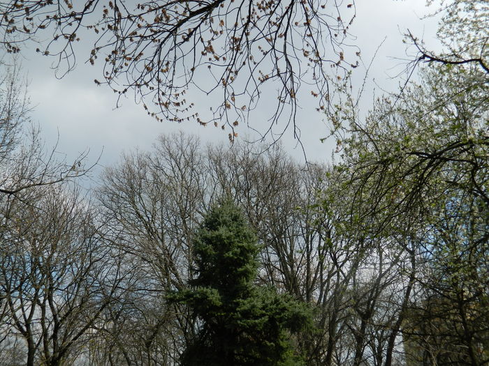 DSCN1133 - 2016 PARCUL BOTANIC TIMISOARA