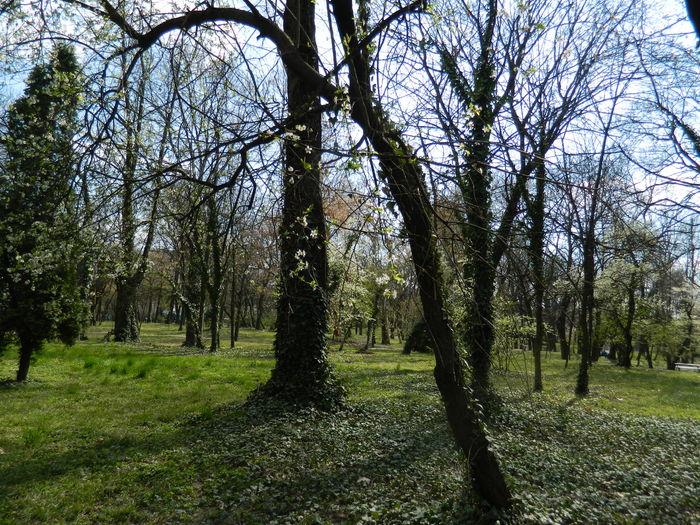 DSCN1135 - 2016 PARCUL BOTANIC TIMISOARA