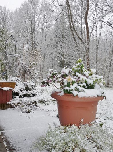 P1780290 - 2015 - 2016 - 00 - Iarna