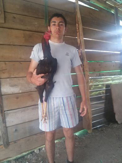 Varsta -2 ani Tornado