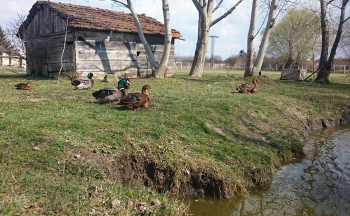 tmp_9673-_20160316_131509512738524