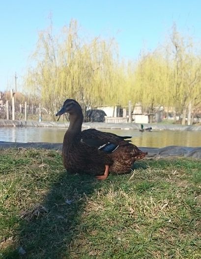 tmp_9673-_20160314_145048-736968907