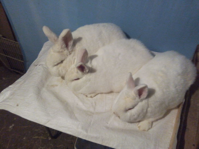 5 luni, impreuna cu tatal